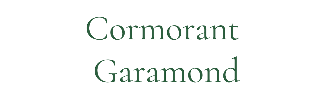 Fuente primaria Display - Tipografía para títulos TreeRoute